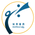 NABA SOFT logo